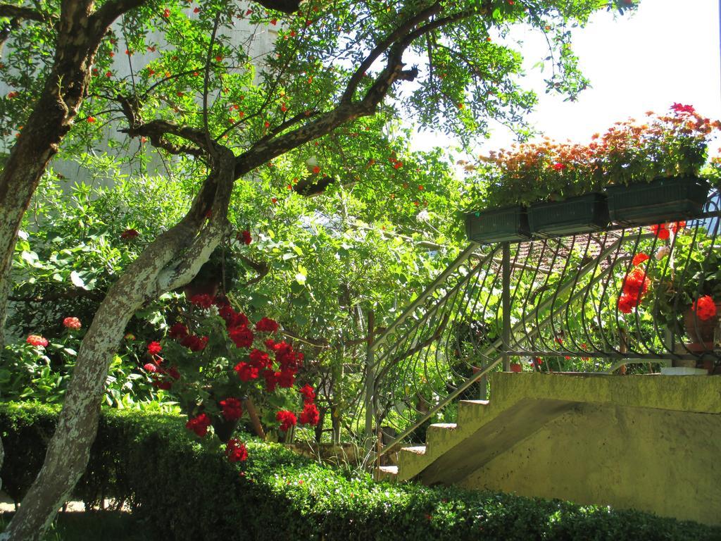 Apartments Kordic Kotor Luaran gambar